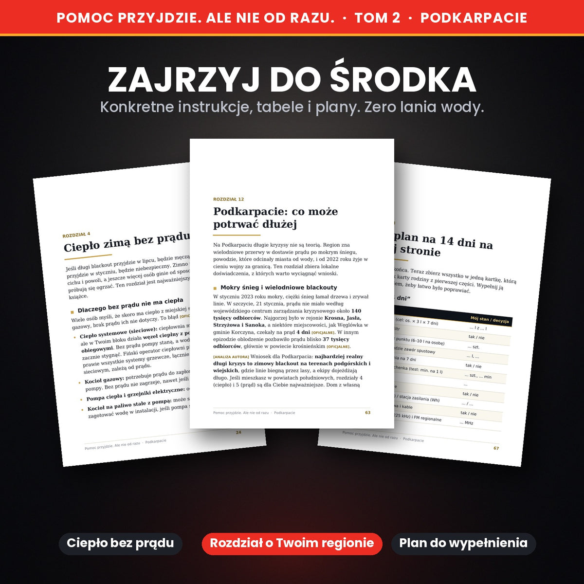 Pomoc przyjdzie. Ale nie od razu. Plan na 14 dni kryzysu dla rodzin z Podkarpacia (Tom 2, ebook PDF)